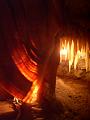 Shawl, Orient Cave, Jenolan Caves IMGP2362